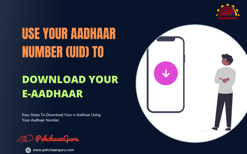 Easy Steps To Download Your e-Aadhaar with Your Aadhaar Number